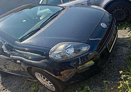 Fiat Punto More