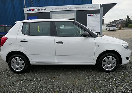 Skoda Fabia Cool Edition*StKette NEU*4 AllWett Reifen*