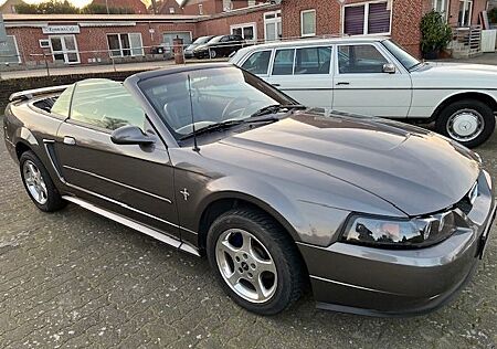 Ford Mustang V6 KLIMA TÜV NEU LEDER AUTOMATIK