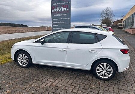 Seat Leon Reference