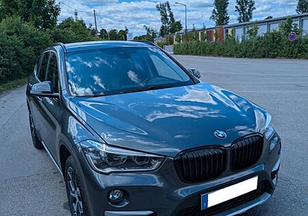 BMW X1 xDrive20d Steptronic xLine - 8fach bereift