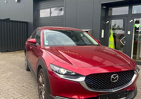 Mazda CX-3 CX-30 Selection 2WD