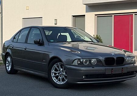 BMW 530i E39 Individual *ROSTFREI*