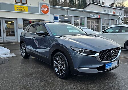 Mazda CX-30 Selection AWD,NAVI,CAM360,ACC,HeadUp,AHK,P