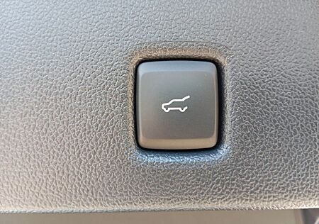 Ford Kuga Hybrid ST-Line X*AHK Schwenkbar*