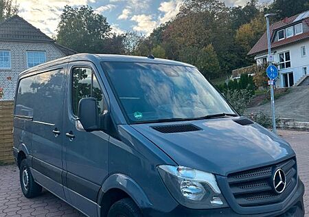 Mercedes-Benz Sprinter Rückfahrkamera / Top gepflegt