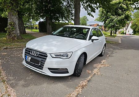 Audi A3 1.6 TDI 77kW Ambiente Ambiente