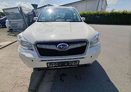 Subaru Forester Exclusive