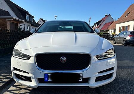 Jaguar XE 25t 250PS Pure Automatik Pure