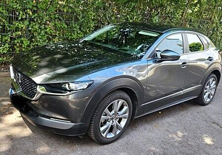 Mazda CX-30 2.0 e-SKYACTIV-G M-Hybrid 150 AHK,360°Kam,