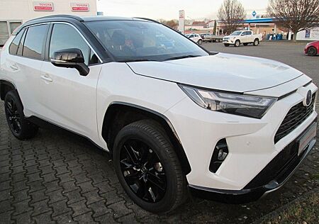 Toyota RAV 4 Style Selection T-Leder JBL Bi-Tone