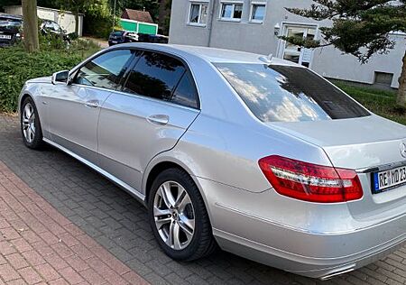 Mercedes-Benz E 220 CDI BlueEFFICIENCY Liebhaber Fahrzeug