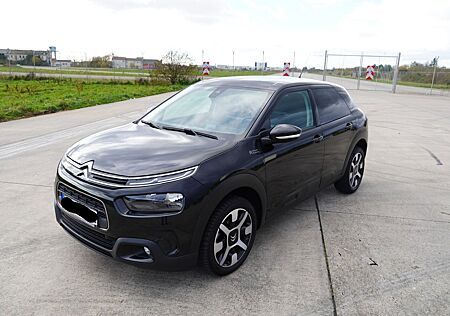 Citroën C4 Cactus PureTech 110 S&S Shine EAT6 Shine