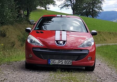 Peugeot 206 + 1.4 75 Modell Street Racing