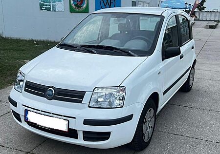 Fiat Panda | HU & AU neu