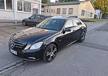 Mercedes-Benz E 220 CDI BlueEFFICIENCY ELEGANCE ELEGANCE