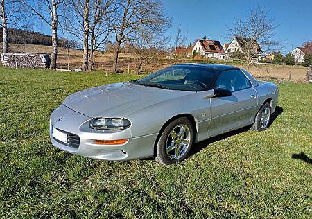 Chevrolet Camaro 3.8 Targa
