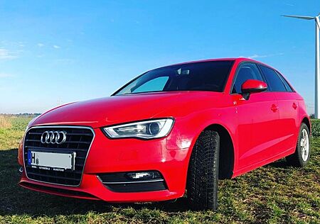 Audi A3 1.6 TDI Ambition Sportback Ambition
