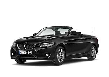 BMW 218i Cabrio Advantage Aut. Navi Business PDC LED