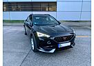 Cupra Formentor 1.5 TSI 110kW DSG - Pano, Ambiente