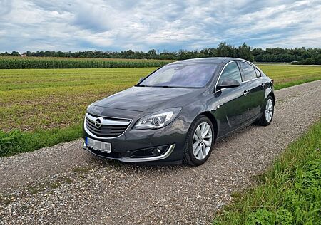 Opel Insignia 2.0 CDTI Innov OPC Leder Navi Kamera