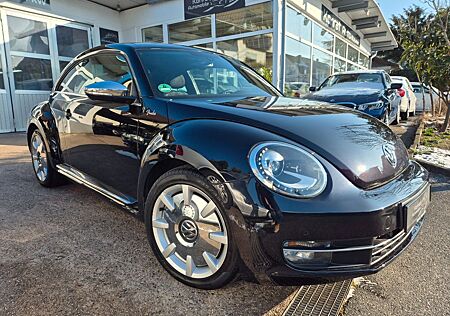 VW Beetle Volkswagen Lim. Fender Edition Panorama