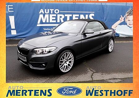 BMW 220 i Sport Line Cabrio Navi Soundsystem HarmanK