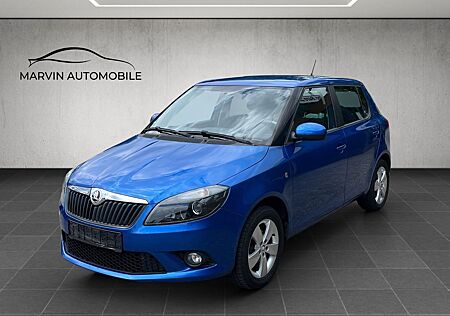 Skoda Fabia Ambition 1.4 SCHECKHEFT SHZ PDC TEMP