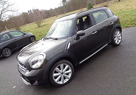 Mini Cooper S Countryman Country.Co.S Aut. ALL4 Leder Navi.Klimaaut.Xenon