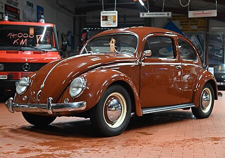VW Käfer Volkswagen "Brezel" *WINKER*RHEUMAKLAPPE*GASROLLE*