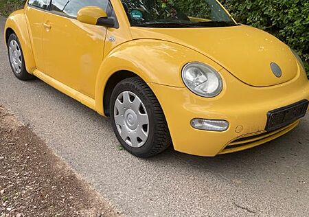 VW Beetle Volkswagen