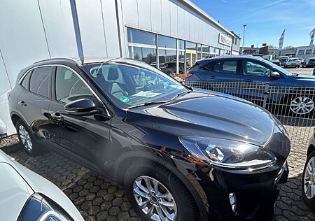 Ford Kuga Plug-In Hybrid Titanium X Pano-Dach. RÜCKF.