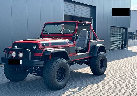 Jeep Wrangler YJ 4.2 LPG-H Zulassung-Hardtop-Türen-