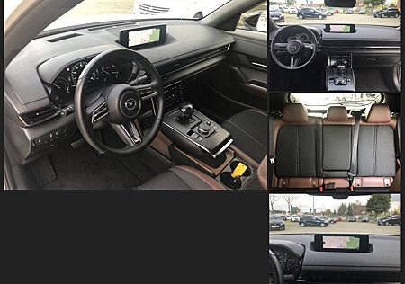 Mazda MX-30 e-SKYACTIV EV ADVANTAGE , ALU, NAVI, LED,