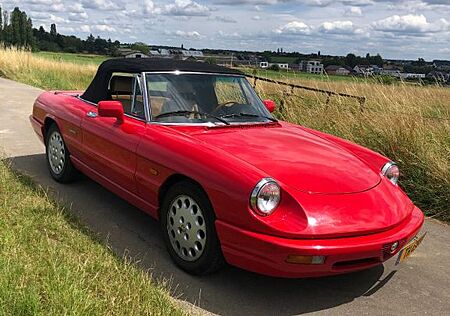 Alfa Romeo Spider