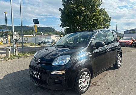 Fiat Panda Easy/2.Hand/TÜV/SERVICE/KLIMA