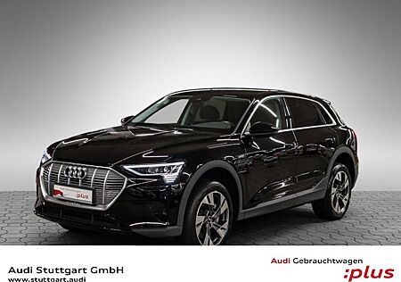 Audi e-tron 50 quattro Matrix virtCo Kamera Parklenk