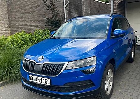 Skoda Karoq 2.0 TDI SCR DSG 4x4 Ambition Ambition