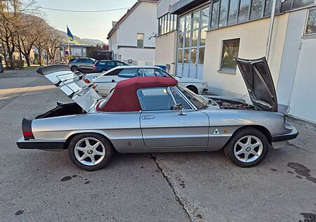 Alfa Romeo Spider originale Gummilippe mit wenig Kilometer