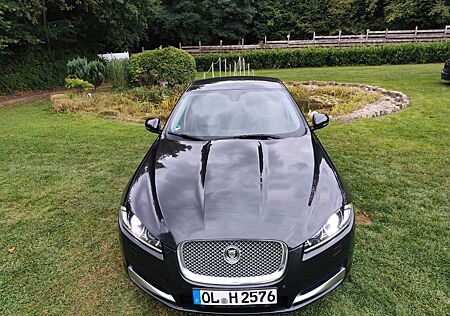 Jaguar XF gebraucht kaufen Jaguar XF 3.0 V6 Diesel /ÖL-REIFEN-BREMSEN VO&HI NEU