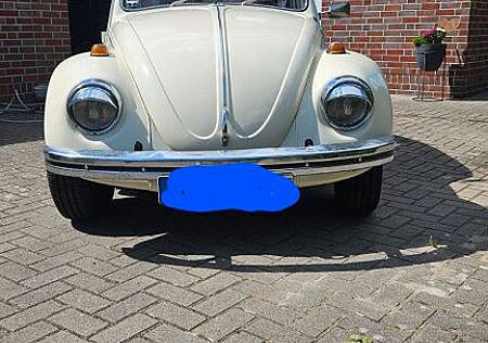 VW Käfer gebraucht kaufen VW Käfer Volkswagen
