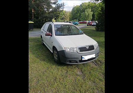 Skoda Praktik