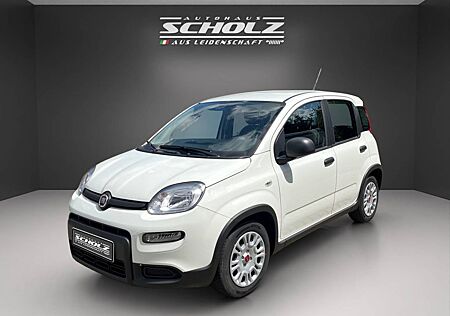 Fiat Panda gebraucht kaufen Fiat Panda MY24 Hybrid 1.0 GSE 51kw