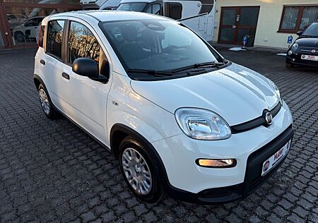 Fiat Panda MY24 Hybrid + City-Paket