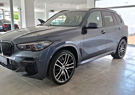 BMW X5 xDrive 40 d M Sport Laser/Luft/Pano/22"