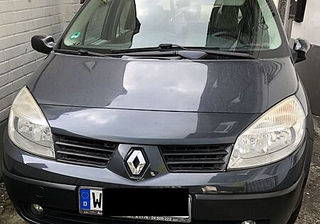 Renault Scenic gebraucht kaufen Renault Scenic Authentique 1.5 dCi 78kW Authentique