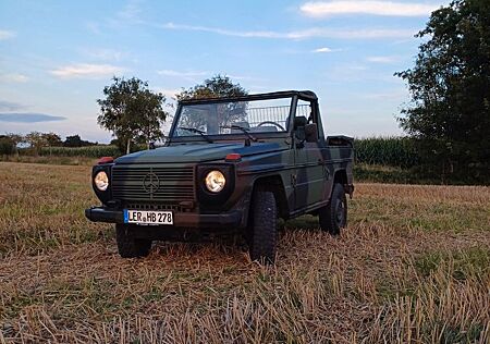 Mercedes-Benz G 250 GD 250 Wolf