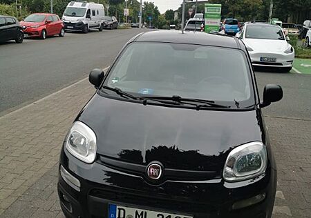 Fiat Panda More 1.2 TÜV neu Klima
