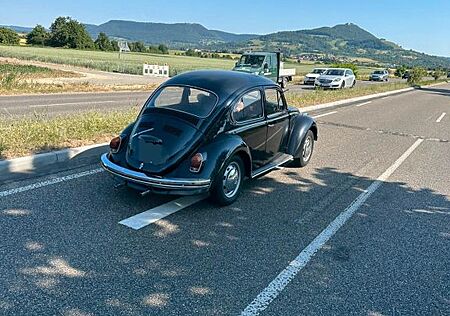 VW Käfer Volkswagen