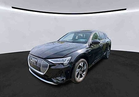 Audi e-tron 50 quattro S line LED Luft WP Kamera Navi